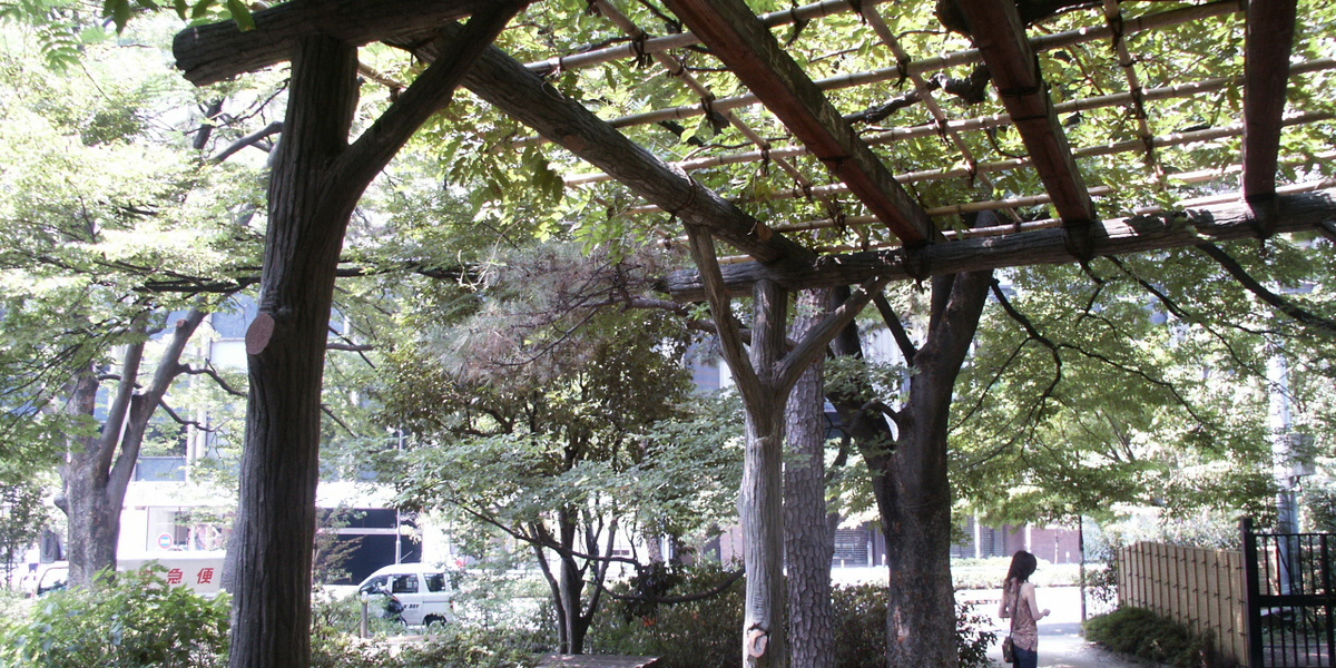 pict0019.jpg